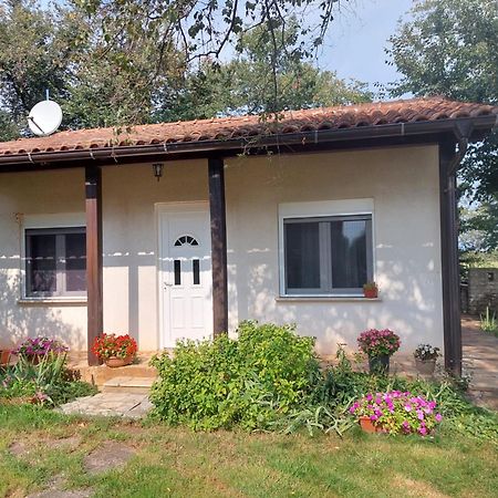 Apartment Marijana Murine Экстерьер фото